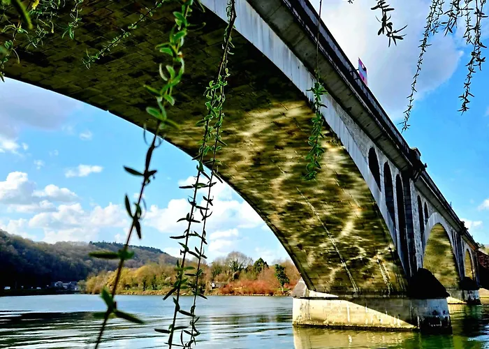 Urban Jungle - Confort Moderne Au Coeur De