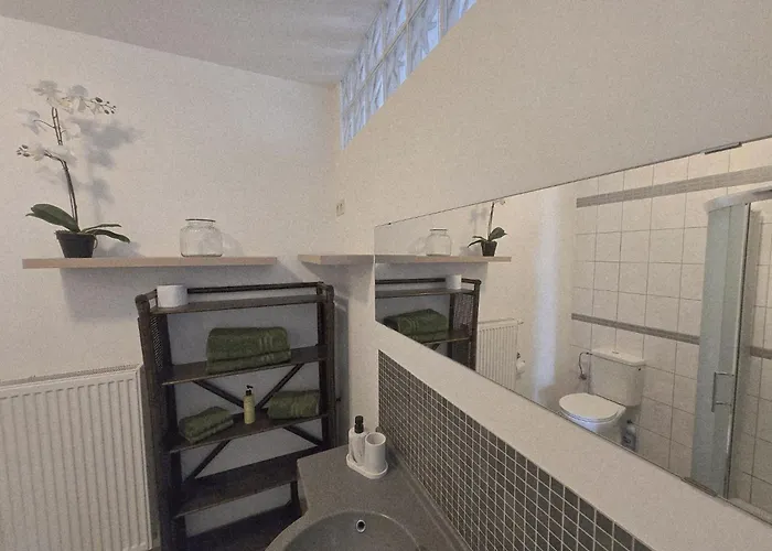 Urban Jungle - Confort Moderne Au Coeur De Huy